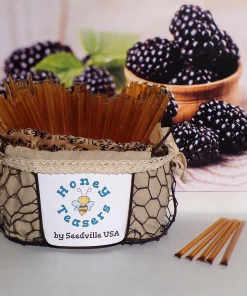 Blackberry Blossom Honey Sticks - 5 Pack Natural Honey Snack Straws - Image 3