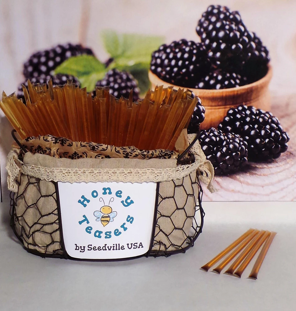 Blackberry Blossom Honey Sticks - 5 Pack Natural Honey Snack Straws - Image 3