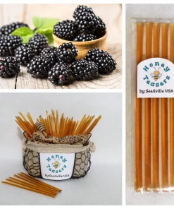 Blackberry Blossom Honey Sticks - 5 Pack Natural Honey Snack Straws - Image 1