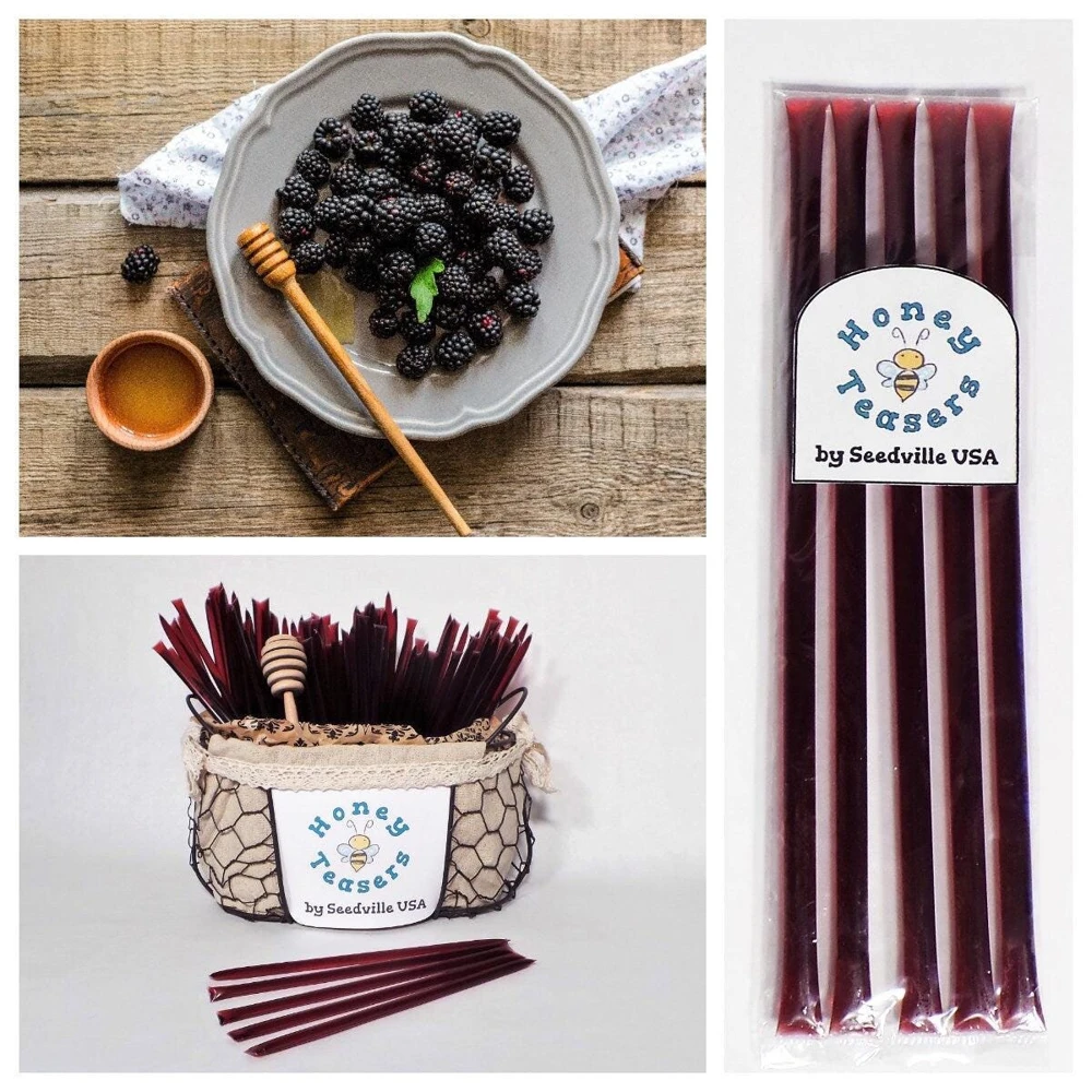 Blackberry Honey Snack Sticks - 5 Pack Natural Honeystix Straws - Image 1
