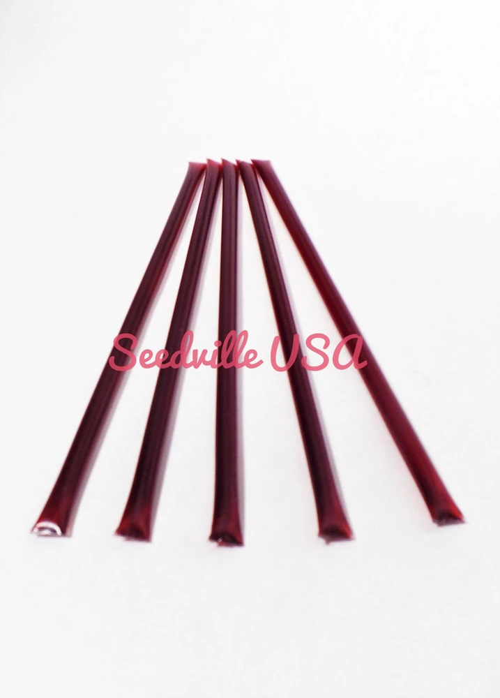 Blackberry Honey Snack Sticks - 5 Pack Natural Honeystix Straws - Image 2
