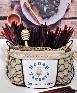 Blackberry Honey Snack Sticks - 5 Pack Natural Honeystix Straws - Image 3