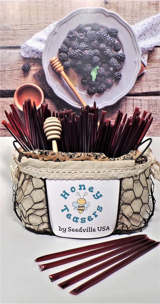 Blackberry Honey Snack Sticks - 5 Pack Natural Honeystix Straws - Image 3