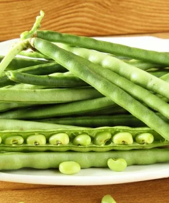 Blackeye Pea Seeds - 100 Vigna Unguiculata Southern Cowpea Vegetable Seeds - Image 2