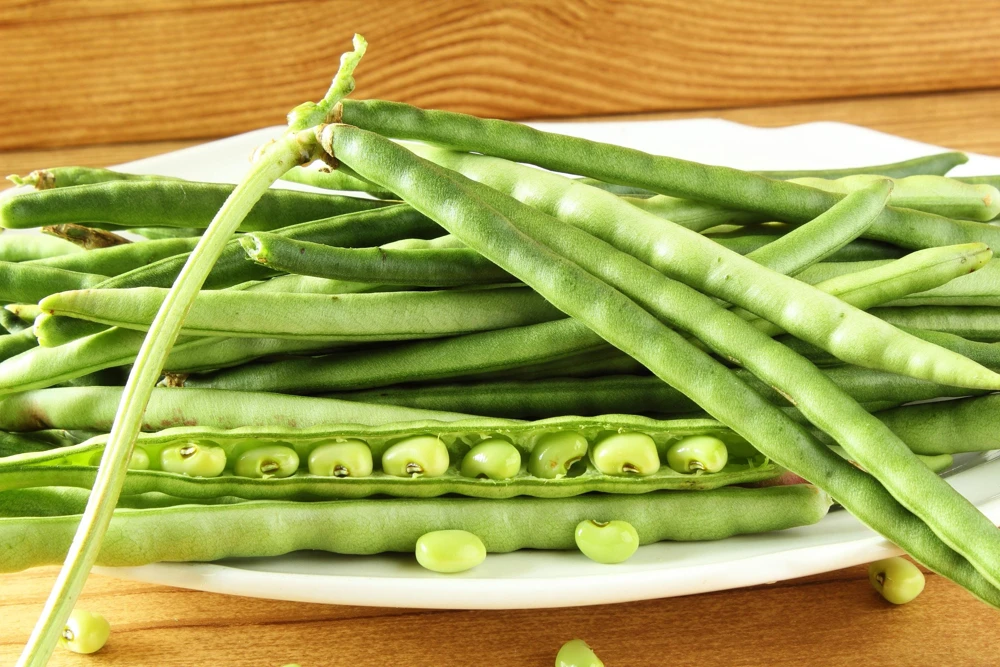 Blackeye Pea Seeds - 100 Vigna Unguiculata Southern Cowpea Vegetable Seeds - Image 2