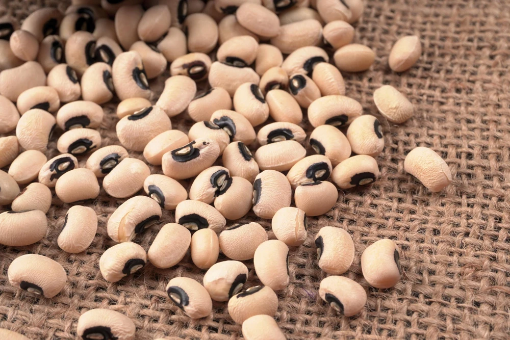 Blackeye Pea Seeds - 100 Vigna Unguiculata Southern Cowpea Vegetable Seeds - Image 1