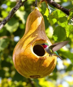 Bottle Gourd Heirloom Seeds – 20 Seeds for Birdhouses & Crafts – Outdoor - Image 1