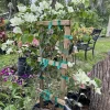Bougainvillea Live Plant - Vibrant Flowering Vine & Shrub - Image 1
