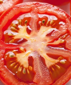 Brandywine Red Tomato Seeds - 30 Heirloom Beefsteak Tomato Seeds - Image 2