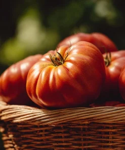 Brandywine Red Tomato Seeds - 30 Heirloom Beefsteak Tomato Seeds - Image 3