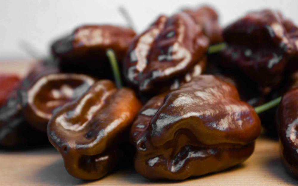 Brown Habanero Pepper Seeds - 50 Hot Capsicum Chinense Seeds - Image 7