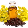 Brown Mustard Seeds Brassica Juncea - 1000 Vegetable Herb Seeds for Growing - Image 1