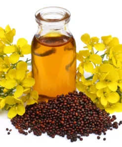 Brown Mustard Seeds Brassica Juncea - 1000 Vegetable Herb Seeds for Growing - Image 1