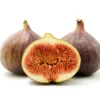 Brown Turkey Fig Tree Live Plant, 5-9" Tall, Cold Hardy, Zone 7-9, Sweet Double Harvest Fruit - Image 1