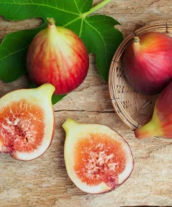 Brown Turkey Fig Tree Live Plant, 5-9