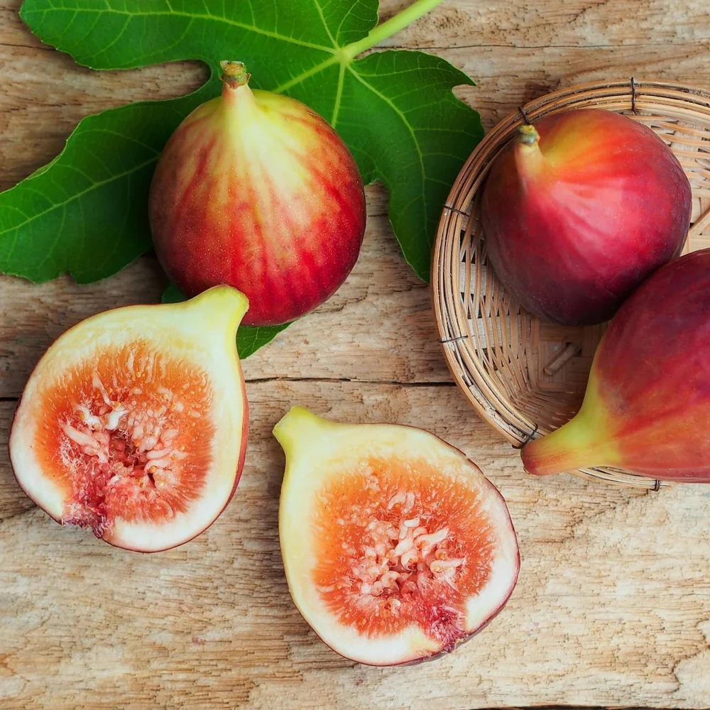 Brown Turkey Fig Tree Live Plant, 5-9" Tall, Cold Hardy, Zone 7-9, Sweet Double Harvest Fruit - Image 4