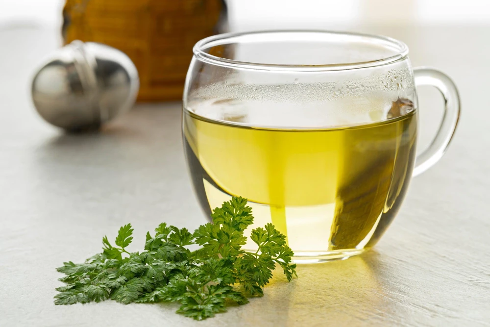Brussels Winter Chervil Seeds - 200 Heirloom Herb Vegetable Seeds, Anthriscus Cerefolium - Image 7