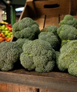 Calabrese Broccoli Seeds - Italian Green Sprouting Vegetable Seeds - 1000 Count - Image 3