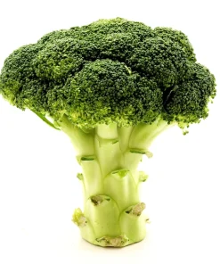 Calabrese Broccoli Seeds - Italian Green Sprouting Vegetable Seeds - 1000 Count - Image 6