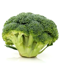 Calabrese Broccoli Seeds - Italian Green Sprouting Vegetable Seeds - 1000 Count - Image 7