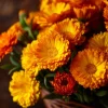 Calendula Pacific Beauty Mix Seeds - Heirloom Pot Marigold, 50+ Seeds, Edible Flowers - Image 1