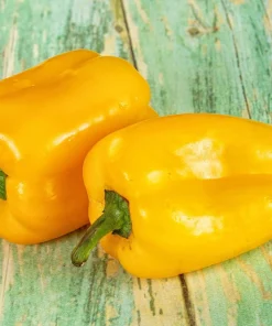 Canary Bell Sweet Pepper Seeds - Yellow Capsicum Annuum - 100 Seeds - Image 4