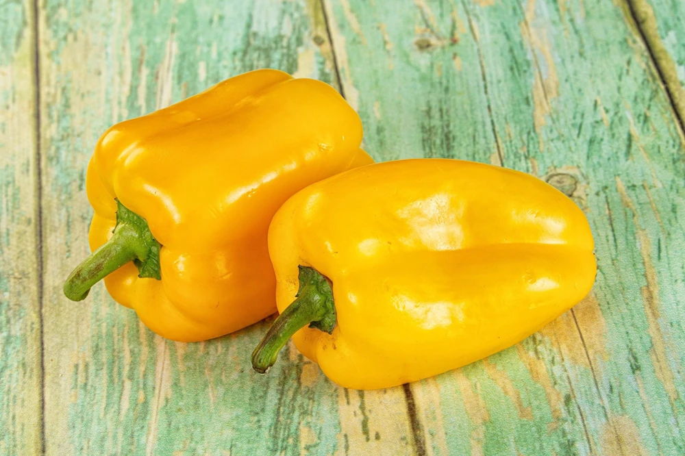 Canary Bell Sweet Pepper Seeds - Yellow Capsicum Annuum - 100 Seeds - Image 4
