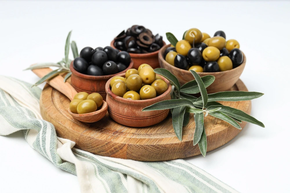 Canino Olive Tree Live Plant – Olea Europaea – Edible European Olives - Image 11