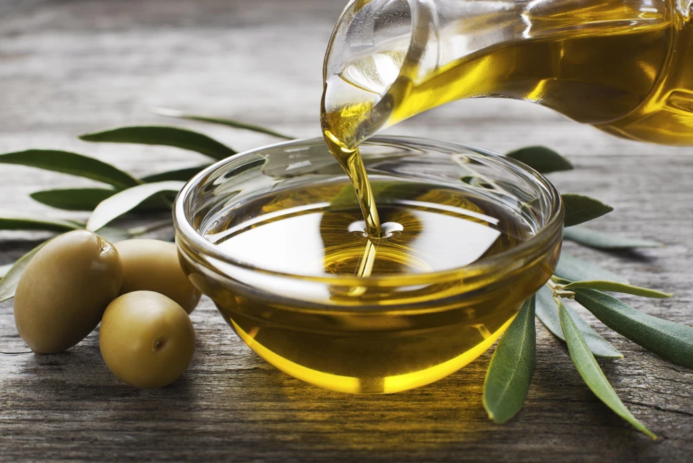 Canino Olive Tree Live Plant – Olea Europaea – Edible European Olives - Image 14