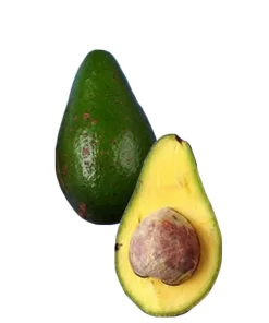 Caribbean avocados 🥑 organic tree, included pot. - Image 1