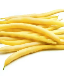 Cherokee Wax Bean Seeds - 50 Yellow Bush Bean Seeds - AAS Winner - Image 5