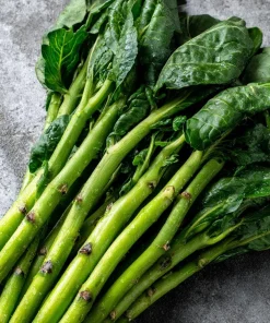 Chinese Broccoli Kailaan Seeds – 100 Seeds – Fast-Growing Vegetable for Stir-Fries & Salads - Image 2