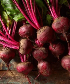 Chioggia Beet Seeds – 150 Heirloom Candy Stripe Beet Seeds – Easy to Grow - Image 2