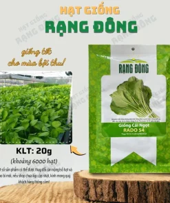 Choy Sum Seeds for Planting - Green Mustard Seeds - 6000 Seeds - Vegetable - Image 3