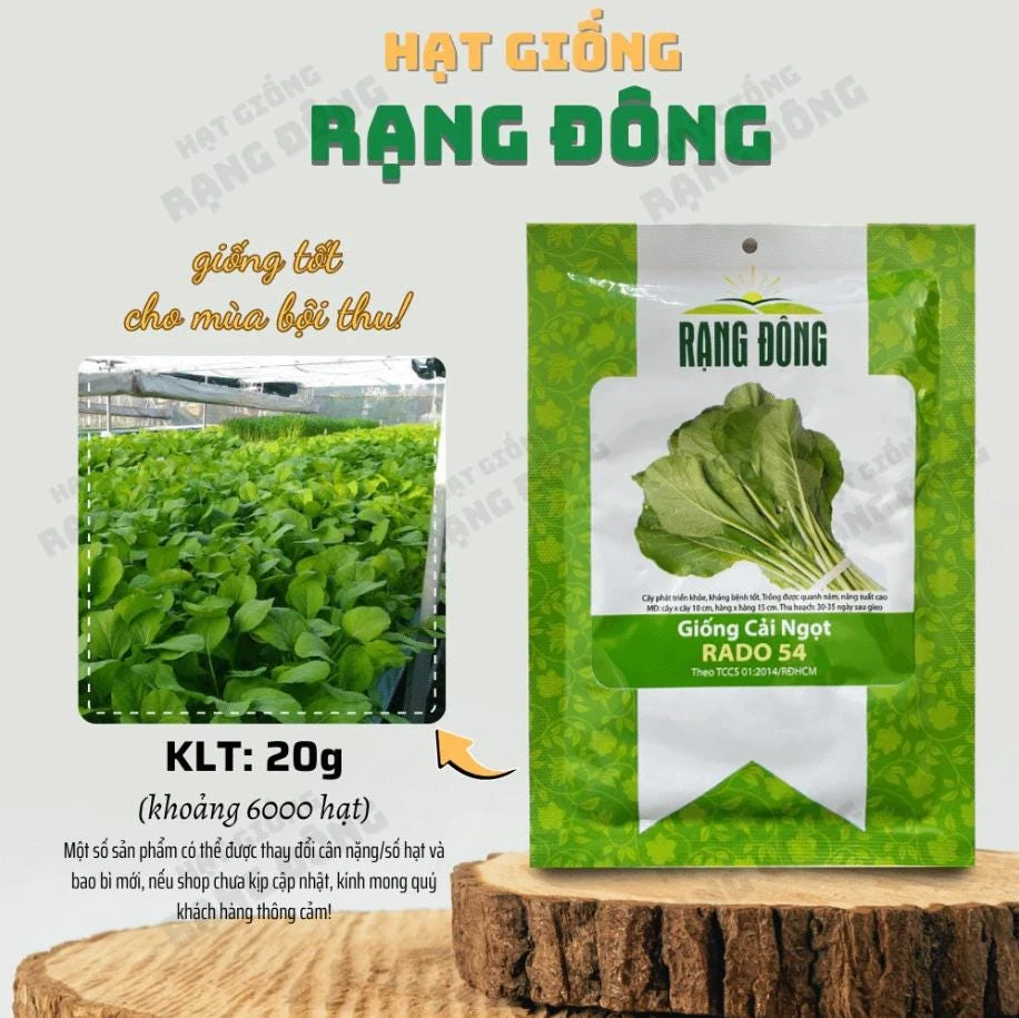 Choy Sum Seeds for Planting - Green Mustard Seeds - 6000 Seeds - Vegetable - Image 3
