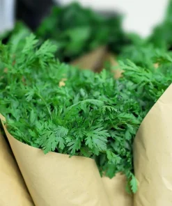 Chrysanthemum Greens Seeds (Shungiku) - 3500 Seeds for Planting, Edible Asian Green - Image 6