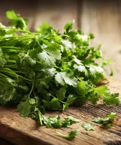 Cilantro Seeds | Bolt-Resistant Herb for Leaves & Seeds | 70 Seeds Packet - Image 4