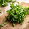 Cilantro Seeds | Bolt-Resistant Herb for Leaves & Seeds | 70 Seeds Packet - Image 1