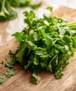 Cilantro Seeds | Bolt-Resistant Herb for Leaves & Seeds | 70 Seeds Packet - Image 1