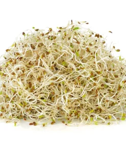 Cimarron Alfalfa Seeds - Medicago Sativa - 100 Seeds - Ground Cover Forage Purple Flower - Image 6