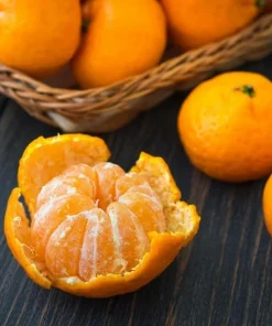 Clementine Mandarin Tree Live Plant 2-5 Inch Tall - Potted Orange Fruit Seedling Indoor/Outdoor - Image 4