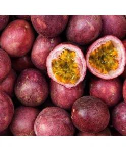 Cold Hardy Panama Red Passion Fruit Live Plant – 4-6 Inch Starter Vine – Outdoor Edible - Image 1