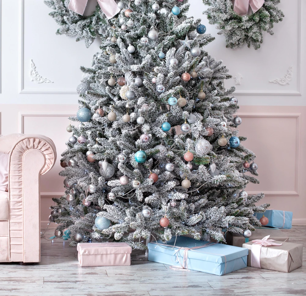 Colorado Blue Spruce Christmas Tree Seeds - Picea Pungens Glauca - 50 Seed Pack - Image 4