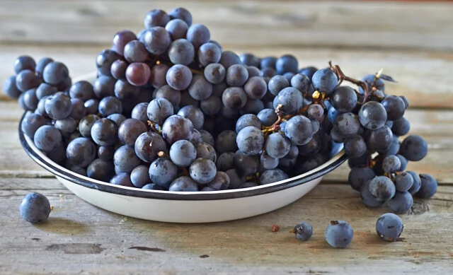 Concord Seedless Grape Vine Live Plant - 1-2 Year Old, Outdoor, Blue Fruit - Image 3