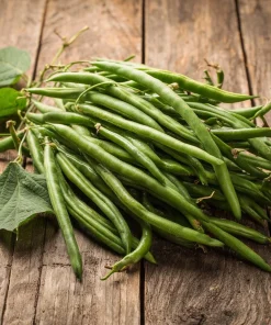 Contender Bush Bean Seeds – 30 Seeds – Heirloom Green Beans for Gardens - Image 3