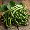 Contender Bush Bean Seeds – 30 Seeds – Heirloom Green Beans for Gardens - Image 1