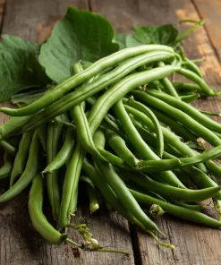 Contender Bush Bean Seeds – 30 Seeds – Heirloom Green Beans for Gardens - Image 1