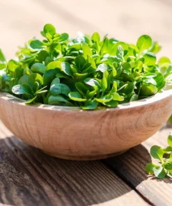 Corn Salad Seeds - Mache Lamb's Lettuce Vegetable Seeds - 500 Count - Image 10