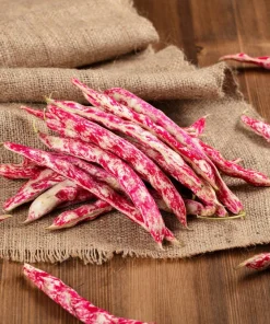 Cranberry Bean Seeds - 50 Count Heirloom Vegetable Seeds for Planting - Image 2