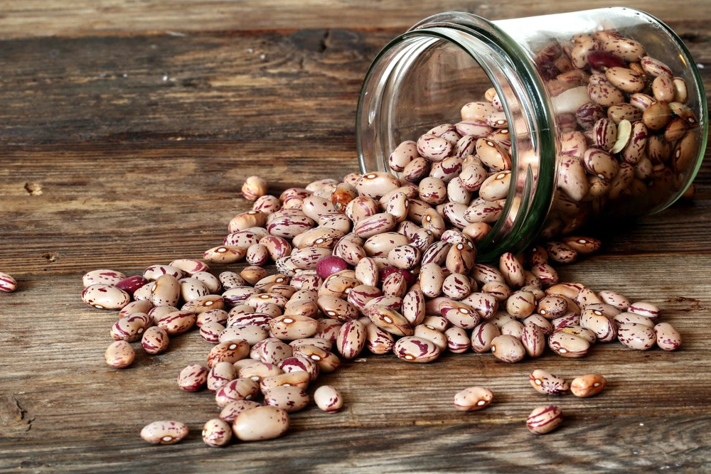 Cranberry Bean Seeds - 50 Count Heirloom Vegetable Seeds for Planting - Image 6